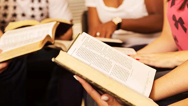 Bible Study