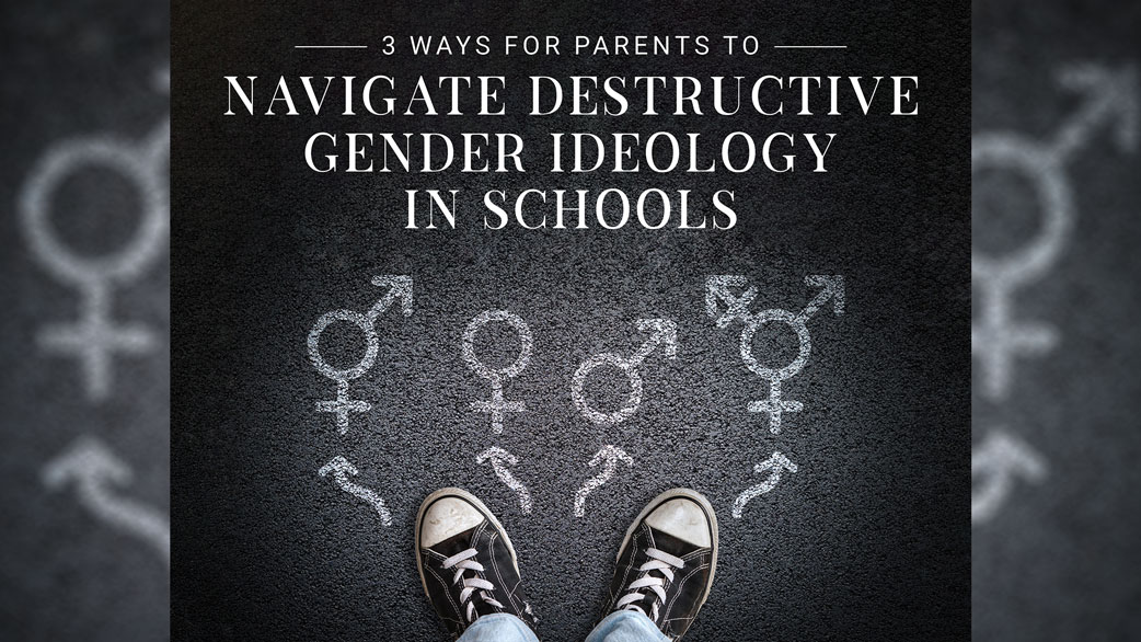 Navigate Destructive Gender Ideology in Schools Cover
